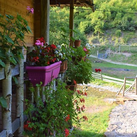Hotel Oka I Po Μπέρανε Εξωτερικό φωτογραφία